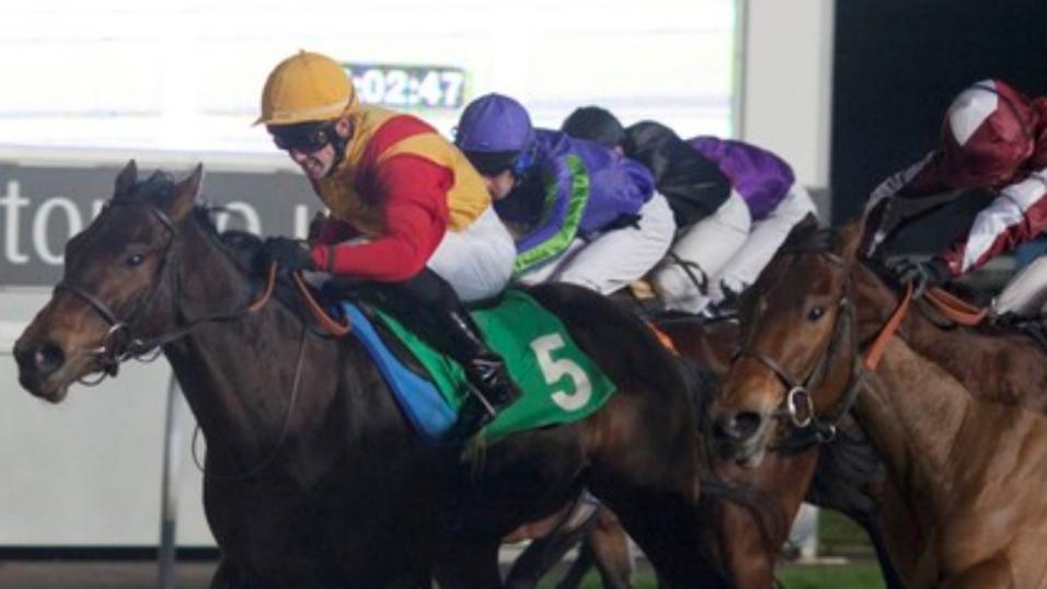 Timeform pick out three bets in the US this evening